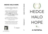 Hedge Halo Hope: A Spiritual Guide to Faith, Finding Inner Peace and Hope in the Modern World