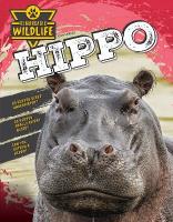 Hippo