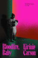 Bloodfire, Baby: a gothic tale about motherhood, ghosts and heritage