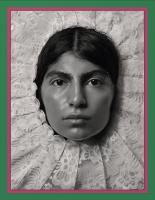 Pieter Henket: Birds of Mexico City