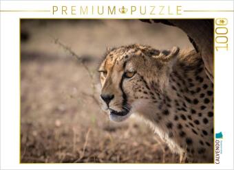 CALVENDO Puzzle Gepard, Botswana 2017 | 1000 Teile Lege-Gr&ouml;&szlig;e 64x48cm Foto-Puzzle f&uuml;r gl&uuml;ckliche Stunden