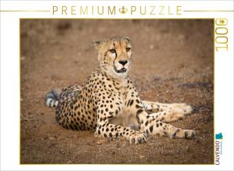 CALVENDO Puzzle Gepard, Botswana 2017 | 1000 Teile Lege-Gr&ouml;&szlig;e 64x48cm Foto-Puzzle f&uuml;r gl&uuml;ckliche Stunden