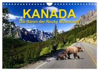 KANADA - Die B&auml;ren der Rocky Mountains (Wandkalender 2026 DIN A4 quer), CALVENDO Monatskalender: Unser Kalender &uuml;ber die Kanadischen B&auml;ren zeigt die Sch&ouml;nheit und Vielfalt dieser majest&auml;tischen Tiere. Auf jedem Monatsblatt sehen Sie ein atemberaubendes F
