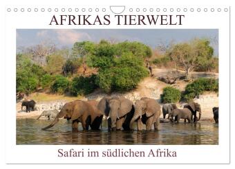 Afrikas Tierwelt, Safari im s&uuml;dlichen Afrika (Wandkalender 2026 DIN A4 quer), CALVENDO Monatskalender: Wildtiere und V&ouml;gel vom s&uuml;dlichen Afrika.