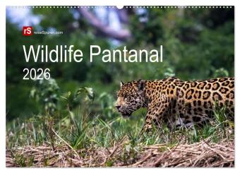 Wildlife Pantanal 2026 (Wandkalender 2026 DIN A2 quer), CALVENDO Monatskalender: Im Reich des Jaguar - einzigartige Wildtiere des brasilianischen Pantanals in sch&ouml;nen Bildern eingefangen
