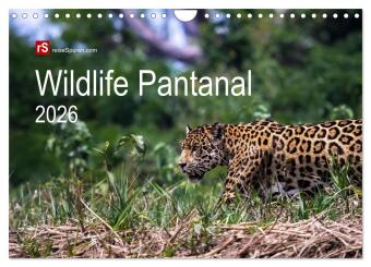 Wildlife Pantanal 2026 (Wandkalender 2026 DIN A4 quer), CALVENDO Monatskalender: Im Reich des Jaguar - einzigartige Wildtiere des brasilianischen Pantanals in sch&ouml;nen Bildern eingefangen