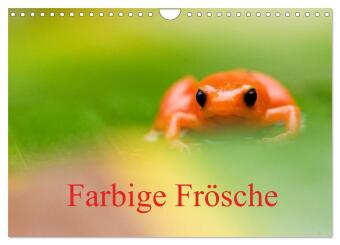 Farbige Fr&ouml;sche (Wandkalender 2026 DIN A4 quer), CALVENDO Monatskalender: Fr&ouml;sche aus der ganzen Welt