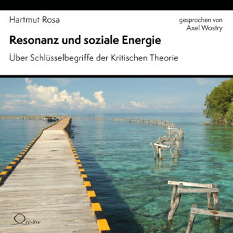 Resonanz und soziale Energie, 3 Audio-CD: &Uuml;ber Schl&uuml;sselbegriffe der Kritischen Theorie. 190 Min.. CD Standard Audio Format. Lesung. Ungek&uuml;rzte Ausgabe